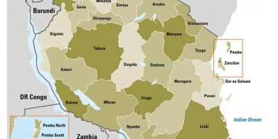 지도의 탄자니아와 지구